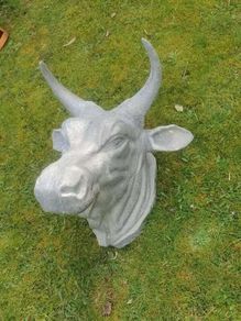 Butcher shop display bull head