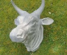 Butcher shop display bull head