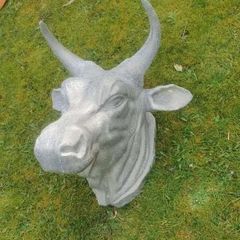 Butcher shop display bull head