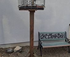 Bird feeder cage