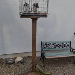 Bird feeder cage