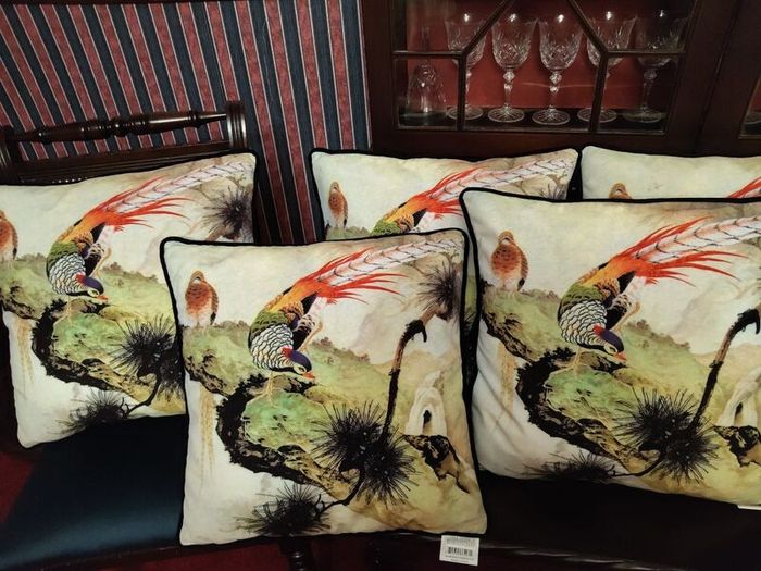 Cushions x5