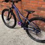Trek Marlin 5 Image 3