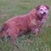 gerry.smith.7509836