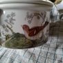 portmeirion dish Image 7