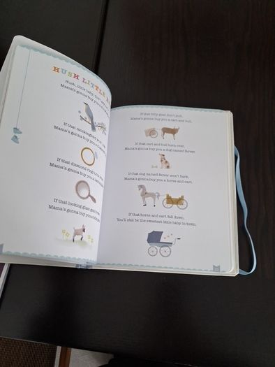 Baby Boy Record Book
