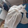 Wedding dress Image 7
