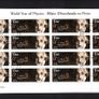 2005 Ireland World Year of Physics Commemorative Stamp Sheetlets Plate 1A1A1A1A Fine Used with Dublin cancel of 24th February 2005 (First day of issue) on envelope extract Image 4