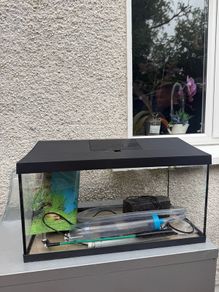 fish tank 65L