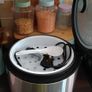 1.8L Rice Cooker & Steamer Image 3
