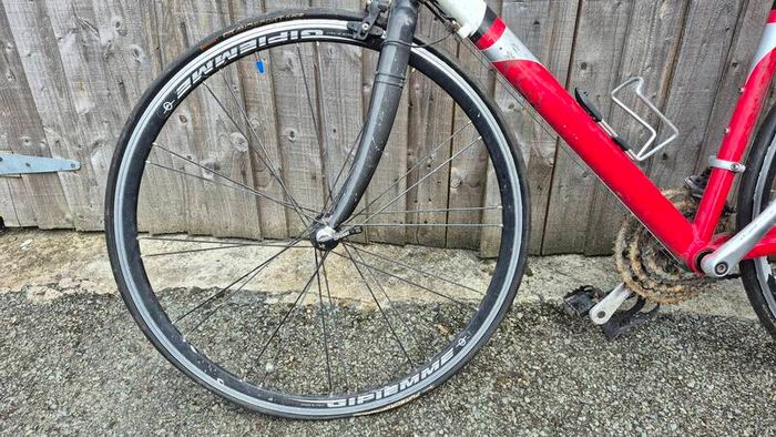 Giotto road bike
