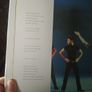 Riverdance: The Story - Sam Smyth Image 8