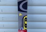Must sell!! Salomon Skis, Alpine, and Poles - 170cm