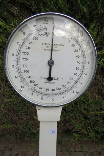 1967 vintage H. Fereday & Sons Ltd. column / lollipop scale