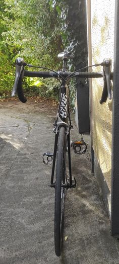 Road Bike Giant Ml - Full Shimano Tiagra
