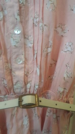 Pretty horsey dress