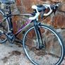 Giant Racer Ladies Image 9