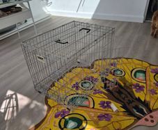 Dog crate Medium