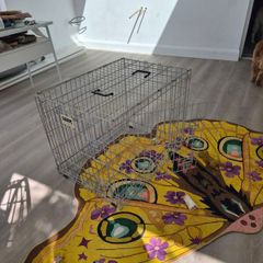 Dog crate Medium