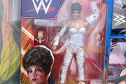 wwe