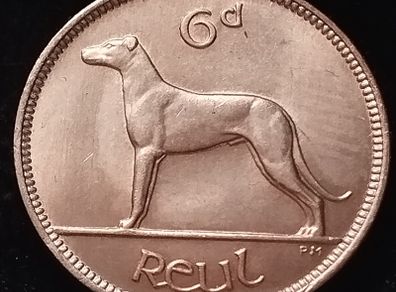 #244 - Ireland - 1956 - 6 Pence - KM.13a - UNC