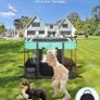 Foldable Pet Playpen,Cat Dog Playpen,Portable Dog Cage soft Portable Exercise Kennel Tent,Puppy Pen Indoors/Outdoors Pet Tent Fence(S(70 55 45cm)) Image 3