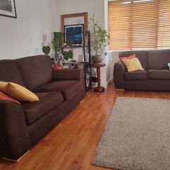 2 couches in great condition