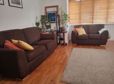 2 couches in great condition