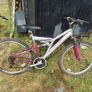 mountain bikes ladys/men's/teenagers Image 3