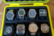 Watch Collection