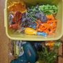 Dinosaur Re Assembly Playset Image 5