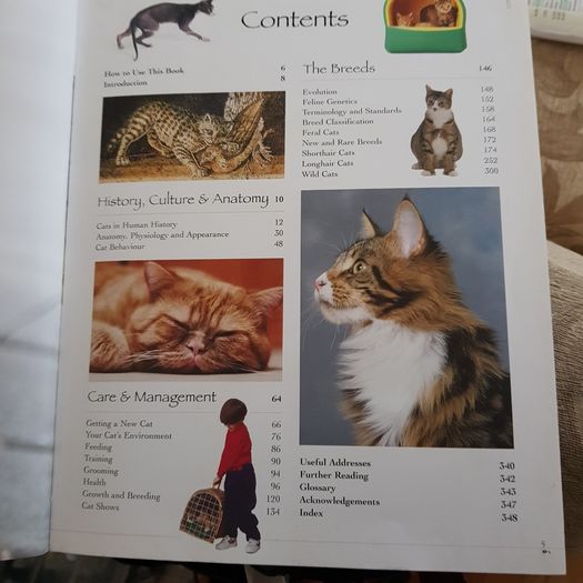 The Complete Illustrated Encyclopedia Of Catsc & Kittens