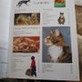 The Complete Illustrated Encyclopedia Of Catsc & Kittens Image 2