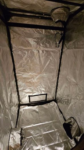 Mars Hydro TS-1000 Grow Light with Tech Garden 3x3 Grow Tent