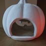 Large outdoor Pumpkin Image 3