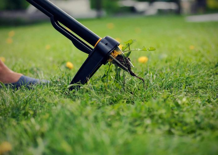Fiskars Xact Garden Rake Steel Head