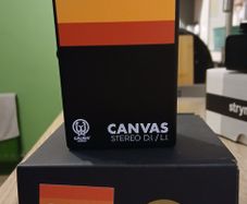 Walrus Audio Canvas Stereo