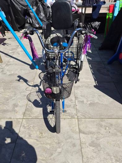 special needs trike.