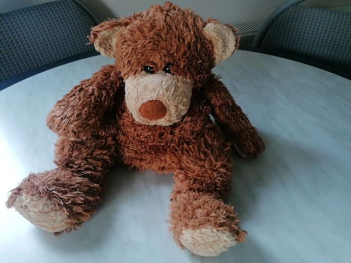 Teddy Bear