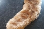 Fur Stole