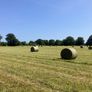 Haylage and silage Image 2