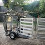 Wopa 39 Hoof Trimming Crate Image 9