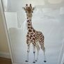 giraffe picture Image 2