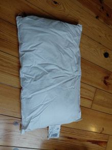 Baby Pillow and Pillow Case
