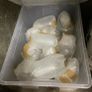 Home Brewing Demijohns and Bottles Image 5