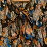 Women's Patterned Top/Blouse size 14 Oasis Image 3