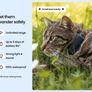 Cat Mini Tractive Tracker Image 4