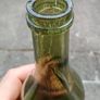 Vintage wine bottle with label Irish Tawny wine Image 5