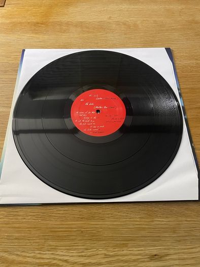 Telefon Tel Aviv - The Birds - 12" Vinyl Single - 2012 BPitch Control