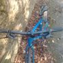 trek fx 2 Image 6